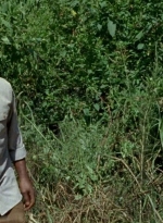 twd0604-3666.jpg