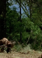 twd0604-3781.jpg