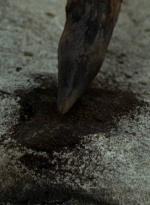 twd0604-3808.jpg