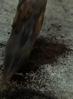 twd0604-3809.jpg