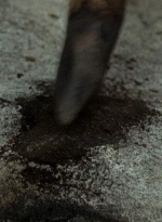 twd0604-3810.jpg
