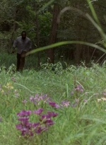 twd0604-3954.jpg