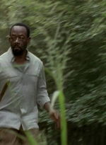 twd0604-3961.jpg