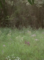 twd0604-3966.jpg