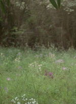 twd0604-3968.jpg