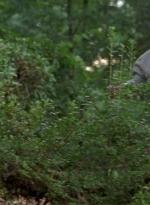 twd0604-3969.jpg