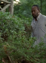 twd0604-3970.jpg