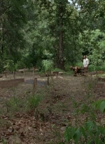 twd0604-4013.jpg