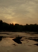 twd0604-4462.jpg
