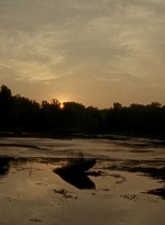 twd0604-4464.jpg