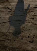 twd0604-4468.jpg