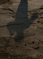 twd0604-4469.jpg
