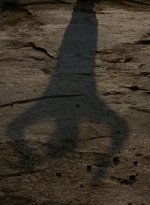 twd0604-4472.jpg