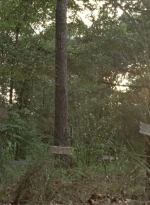 twd0604-4521.jpg