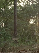 twd0604-4522.jpg