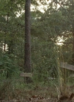 twd0604-4523.jpg