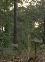 twd0604-4524.jpg