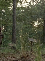 twd0604-4525.jpg