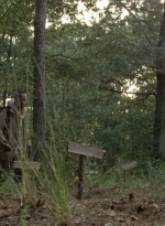 twd0604-4527.jpg