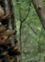 twd0604-4545.jpg