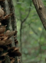 twd0604-4546.jpg