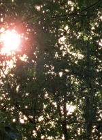 twd0604-4558.jpg