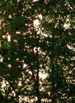 twd0604-4560.jpg