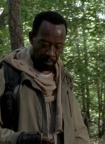 twd0604-4565.jpg