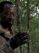 twd0604-4575.jpg