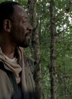 twd0604-4579.jpg