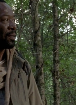 twd0604-4581.jpg