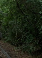 twd0604-4613.jpg