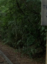 twd0604-4617.jpg