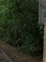 twd0604-4618.jpg