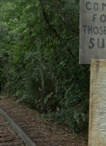 twd0604-4624.jpg