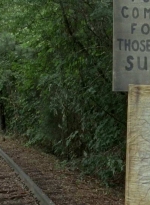 twd0604-4625.jpg
