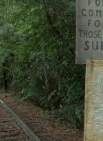 twd0604-4627.jpg