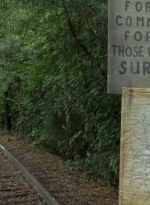 twd0604-4628.jpg