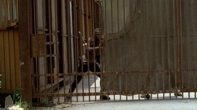 twd0605-0178.jpg