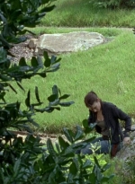 twd0605-0824.jpg