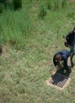 twd0605-1850.jpg