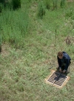twd0605-1855.jpg