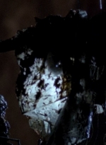twd0605-1966.jpg