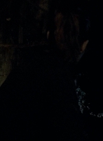 twd0605-1990.jpg