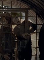 twd0605-2514.jpg