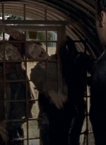 twd0605-2517.jpg