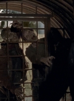 twd0605-2518.jpg
