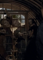 twd0605-2520.jpg
