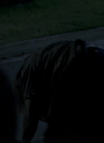 twd0605-2770.jpg