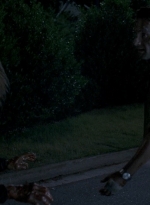 twd0605-2825.jpg